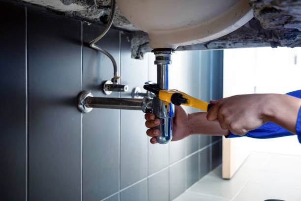 Best Commercial Plumbing Services  in Helena West Side, MT